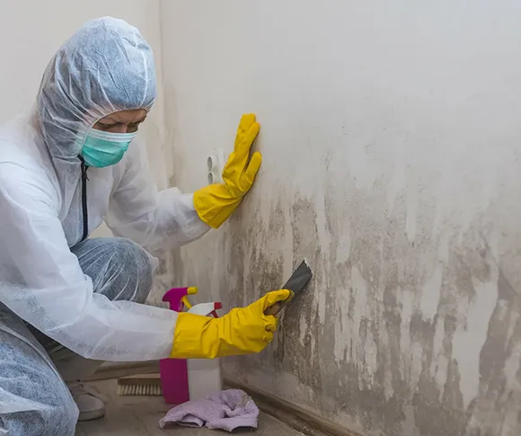 Person in protective gear applying mold removal solution to a wall, showing areas of mold growth.
