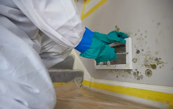 Person in protective gear inspecting mold growth on a wall surface during water damage remediation.