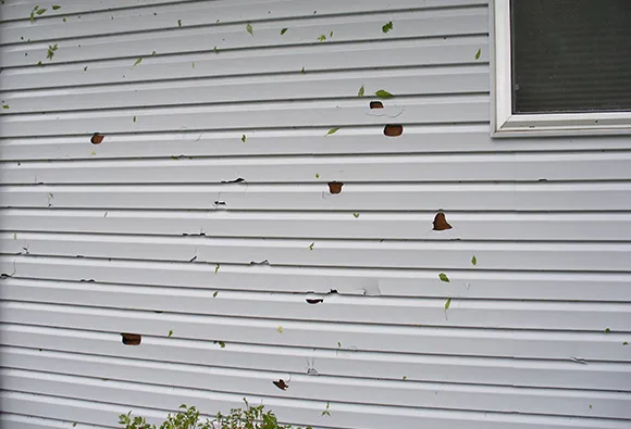 Siding of a house displaying multiple hail damage spots and peeling paint.