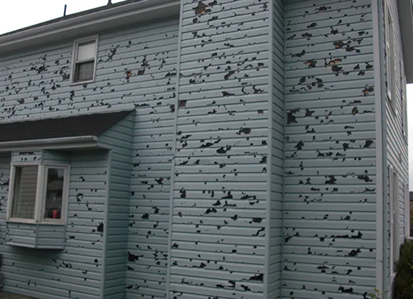 Siding with multiple hail damage dents and a blue paint background.